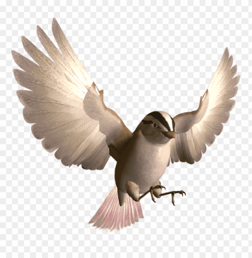 birds png images background - Image ID 410