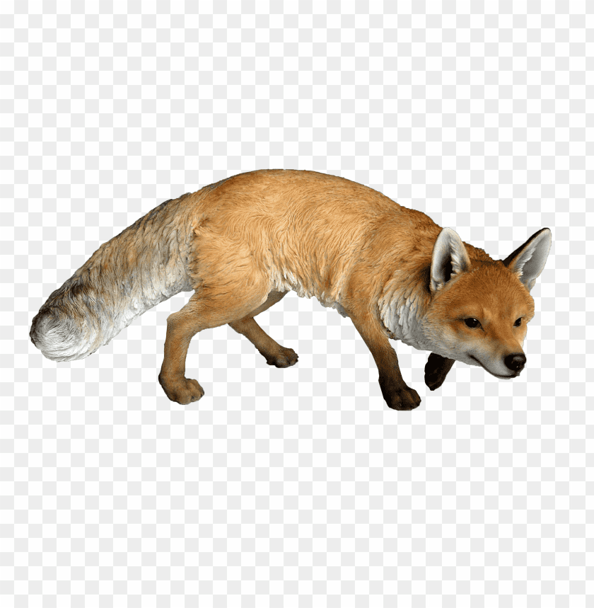 fox png images background - Image ID 311
