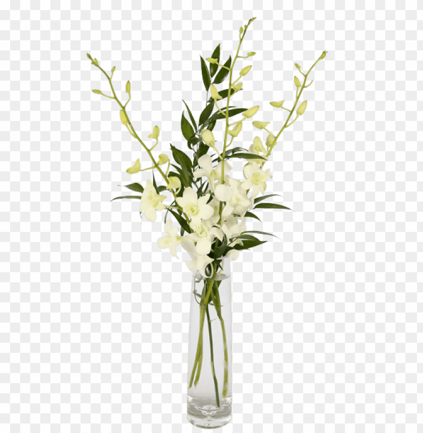 orchid flower bud vase PNG transparent with Clear Background ID 77698